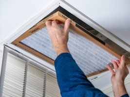 Humidifier & Dehumidifier Services